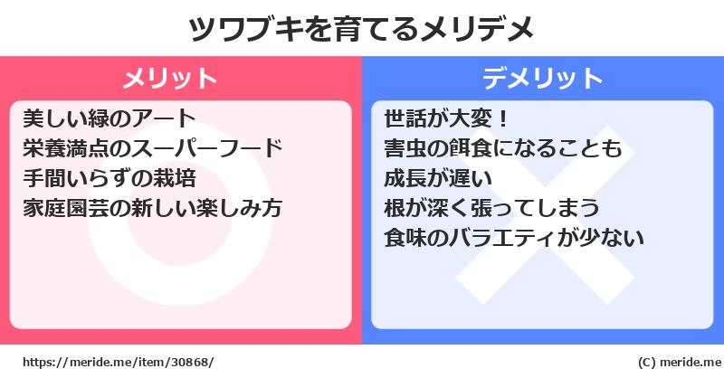 ツワブキを育てるメリットとデメリットは？ [栽培]  メリデメ
