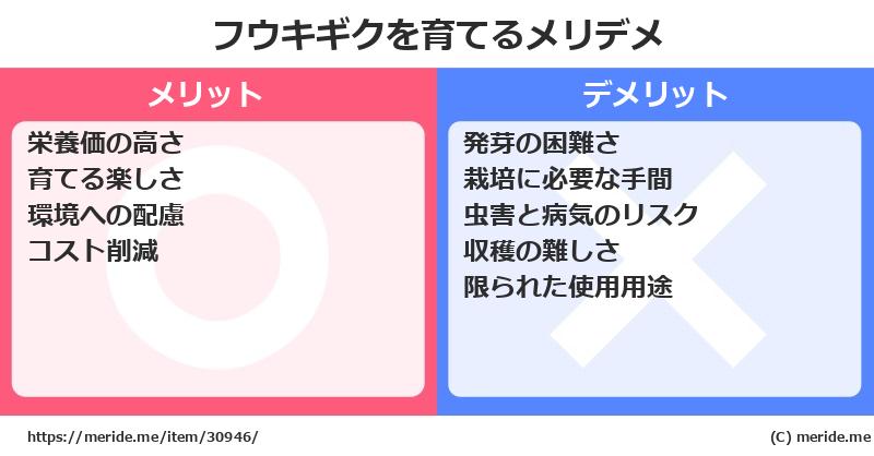 フウキギクを育てるメリットとデメリットは？ [栽培]  メリデメ