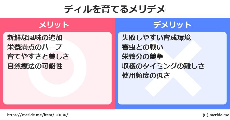 ディルを育てるメリットとデメリットは？ [栽培]  メリデメ