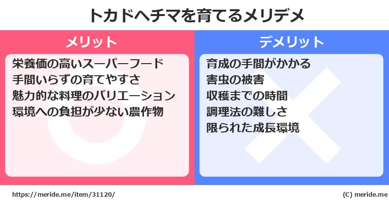 トカドヘチマを育てるメリットとデメリットは？ [栽培]  メリデメ