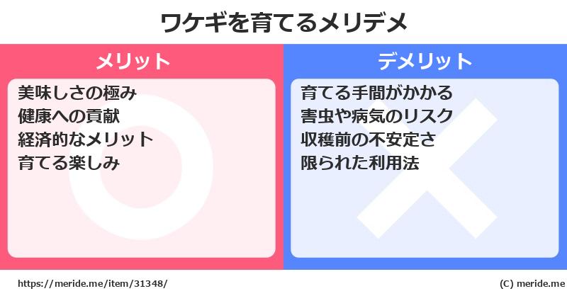 ワケギを育てるメリットとデメリットは？ [栽培]  メリデメ