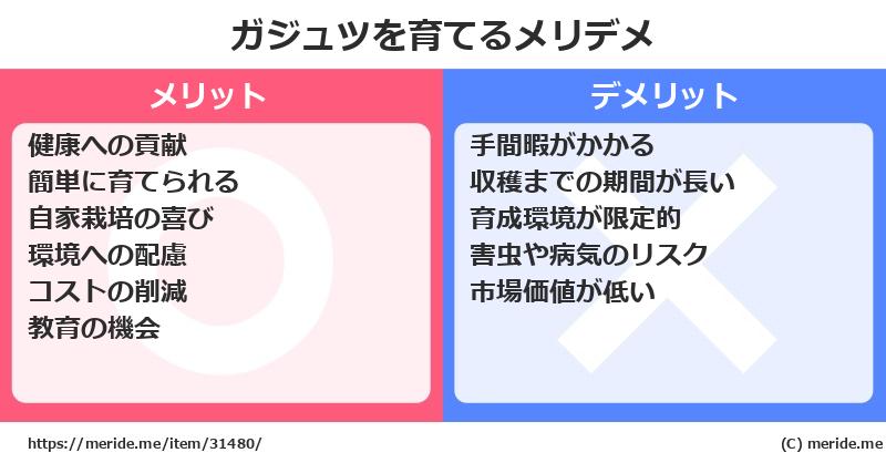 ガジュツを育てるメリットとデメリットは？ [栽培]  メリデメ