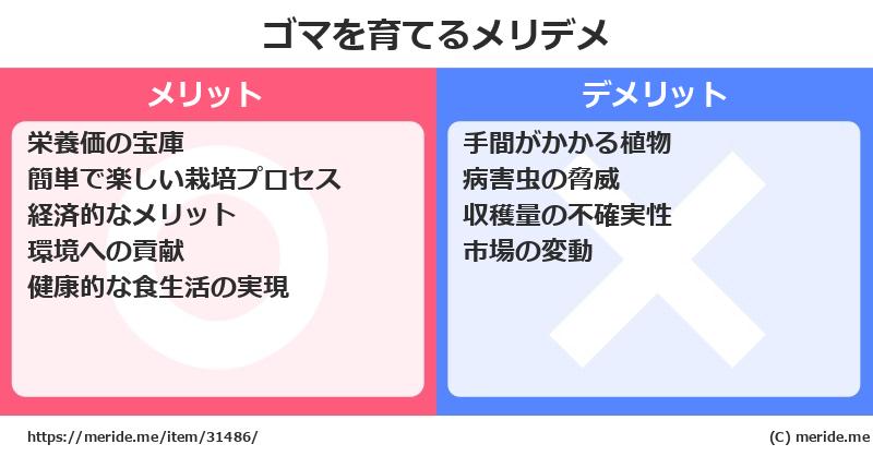 ゴマを育てるメリットとデメリットは？ [栽培]  メリデメ