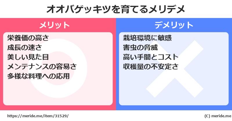 オオバゲッキツを育てるメリットとデメリットは？ [栽培]  メリデメ