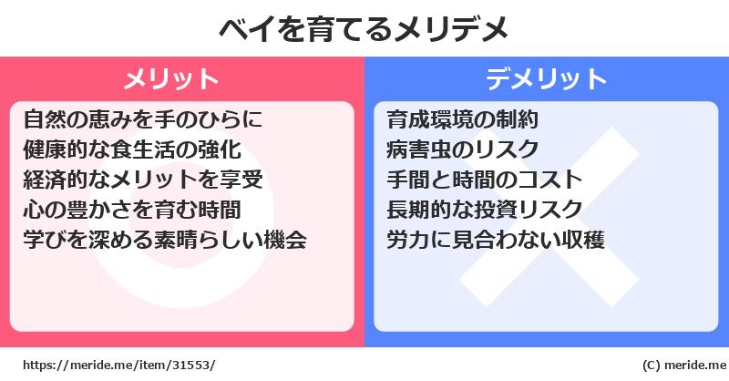 ベイを育てるメリットとデメリットは？ [栽培]  メリデメ