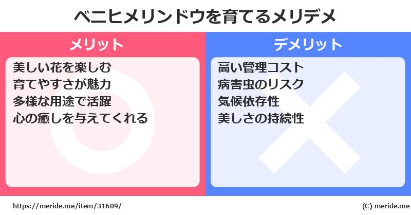 ベニヒメリンドウを育てるメリットとデメリットは？ [栽培]  メリデメ