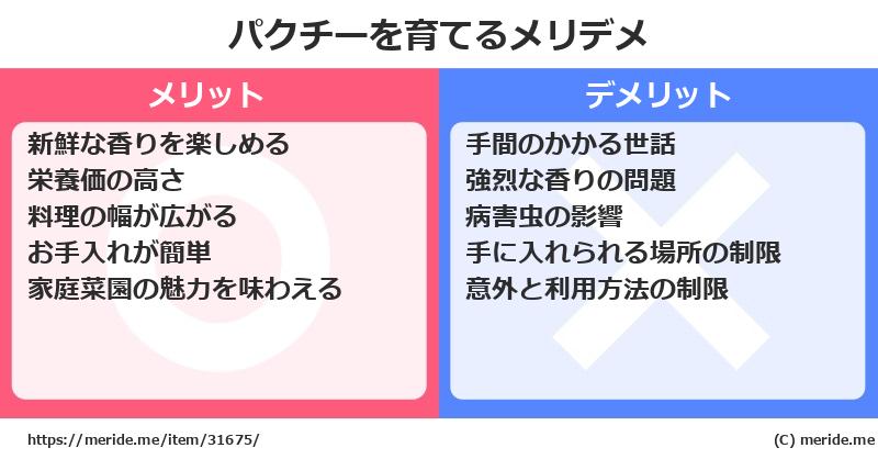 パクチーを育てるメリットとデメリットは？ [栽培]  メリデメ