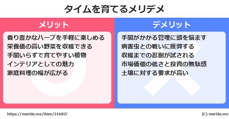 タイムを育てるメリットとデメリットは？ [栽培]  メリデメ