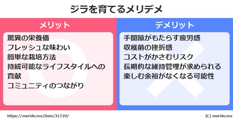 ジラを育てるメリットとデメリットは？ [栽培]  メリデメ