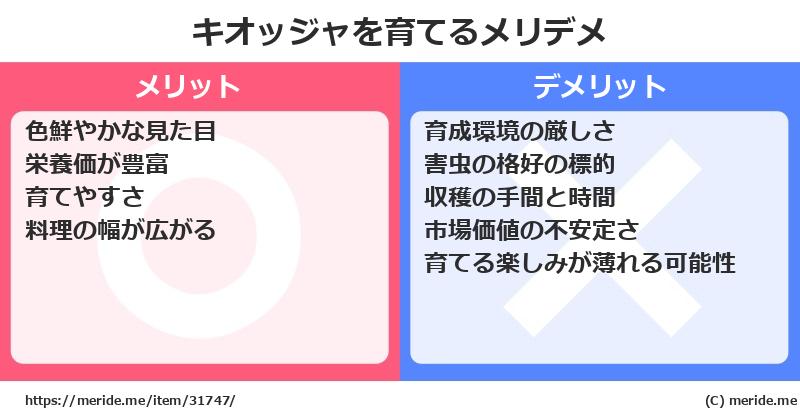 キオッジャを育てるメリットとデメリットは？ [栽培]  メリデメ