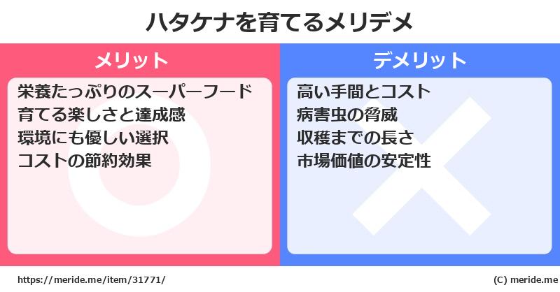ハタケナを育てるメリットとデメリットは？ [栽培]  メリデメ