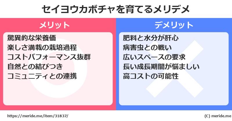 セイヨウカボチャを育てるメリットとデメリットは？ [栽培]  メリデメ