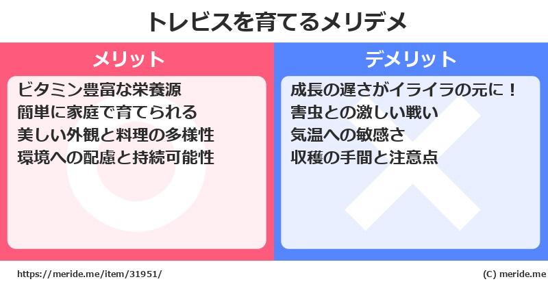 トレビスを育てるメリットとデメリットは？ [栽培]  メリデメ