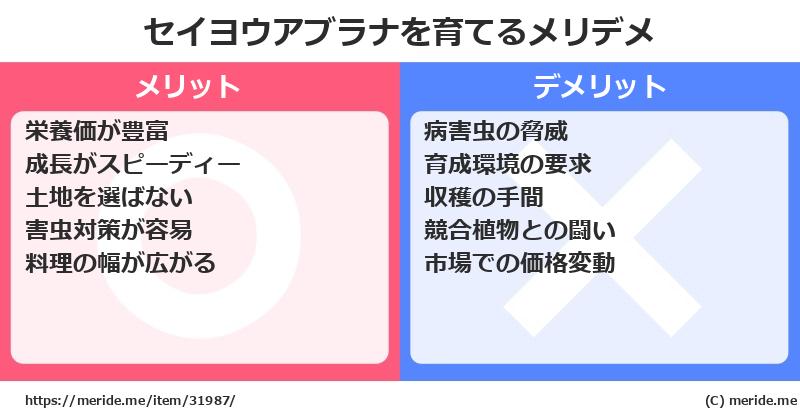 セイヨウアブラナを育てるメリットとデメリットは？ [栽培]  メリデメ