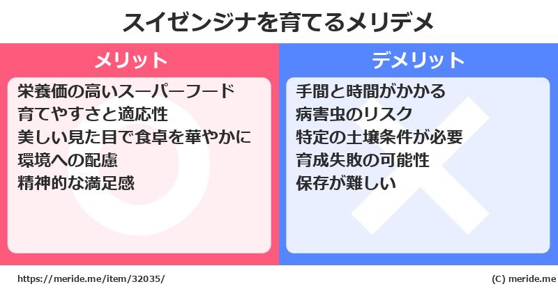 スイゼンジナを育てるメリットとデメリットは？ [栽培]  メリデメ