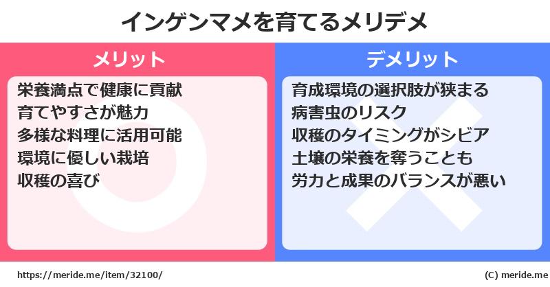 インゲンマメを育てるメリットとデメリットは？ [栽培]  メリデメ