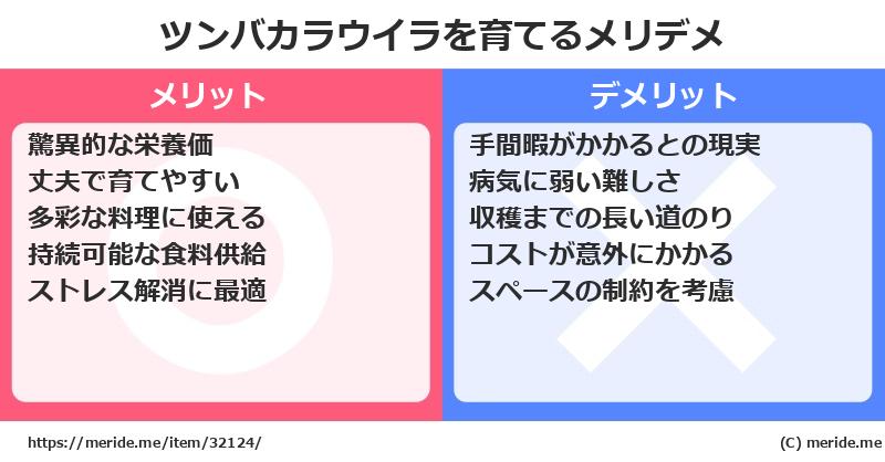ツンバカラウイラを育てるメリットとデメリットは？ [栽培]  メリデメ