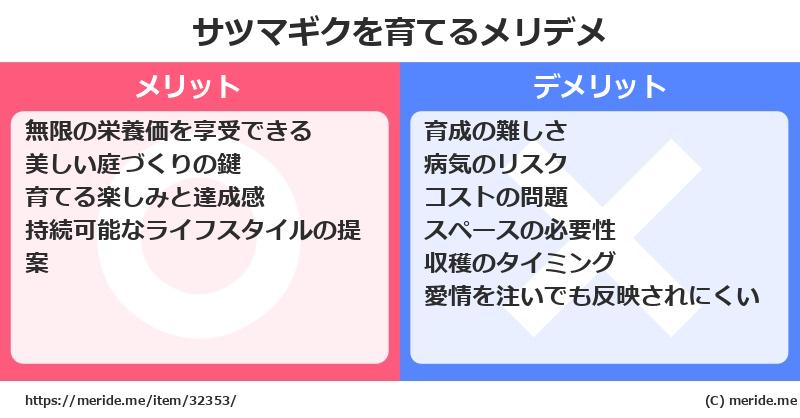 サツマギクを育てるメリットとデメリットは？ [栽培]  メリデメ