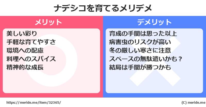 ナデシコを育てるメリットとデメリットは？ [栽培]  メリデメ