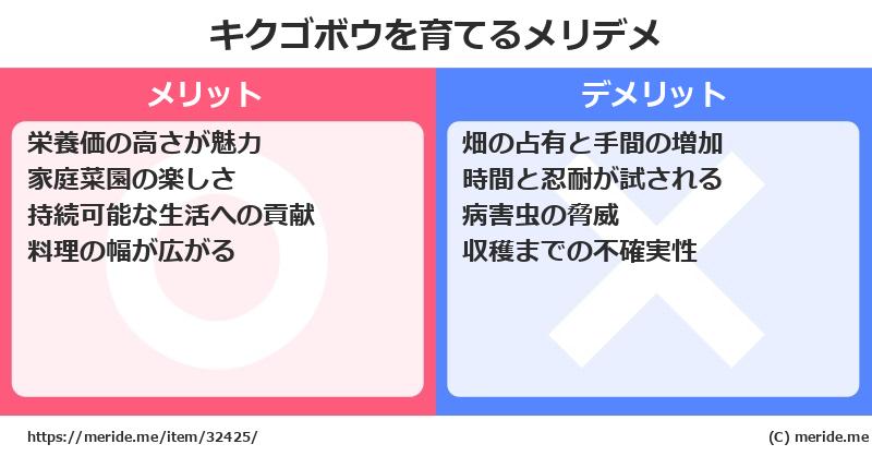キクゴボウを育てるメリットとデメリットは？ [栽培]  メリデメ