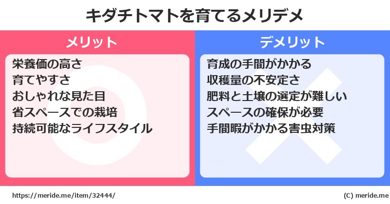 キダチトマトを育てるメリットとデメリットは？ [栽培]  メリデメ