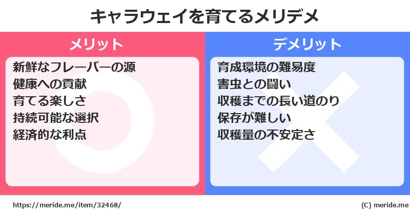 キャラウェイを育てるメリットとデメリットは？ [栽培]  メリデメ