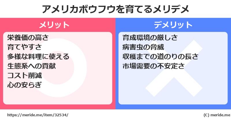 アメリカボウフウを育てるメリットとデメリットは？ [栽培]  メリデメ