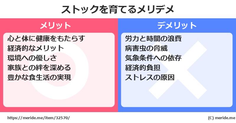 ストックを育てるメリットとデメリットは？ [栽培]  メリデメ