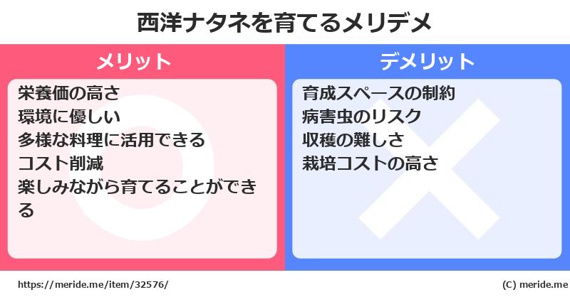 西洋ナタネを育てるメリットとデメリットは？ [栽培]  メリデメ