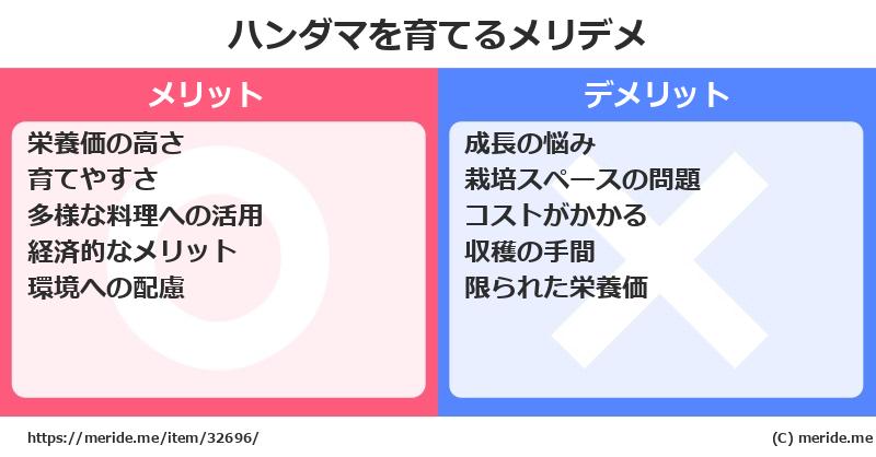 ハンダマを育てるメリットとデメリットは？ [栽培]  メリデメ