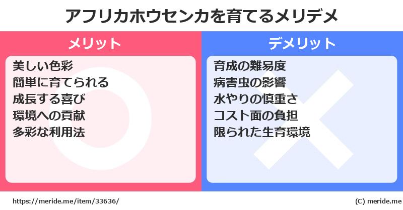 アフリカホウセンカを育てるメリットとデメリットは？ [栽培]  メリデメ