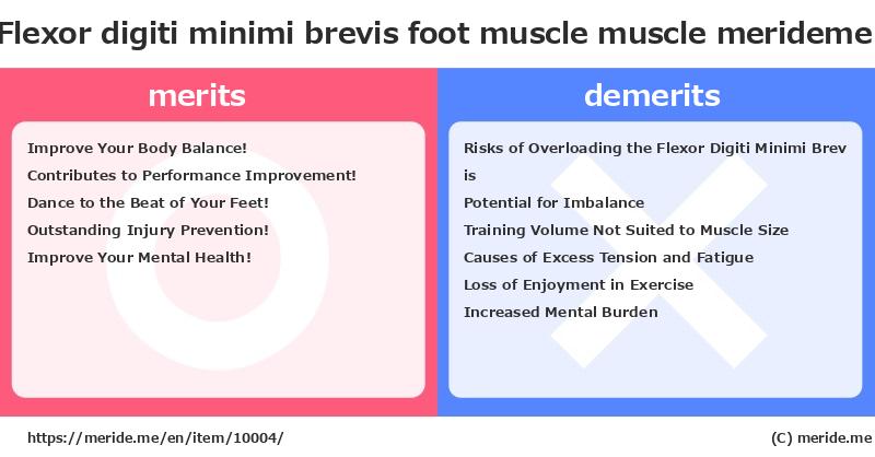 Flexor digiti minimi brevis foot muscle  merits and demerits?  [muscle]  merideme