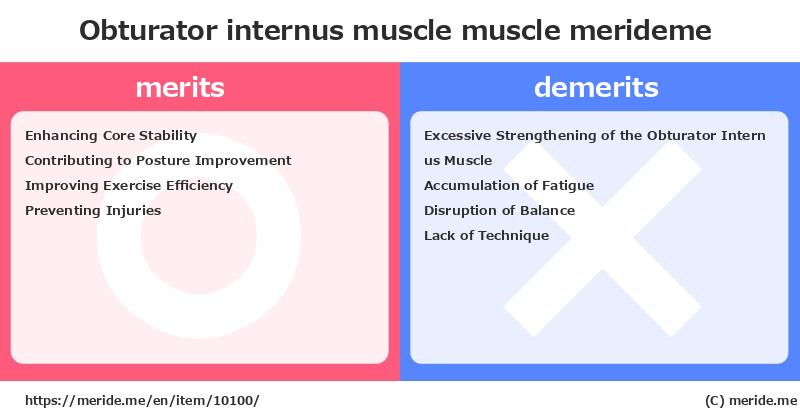 Obturator internus muscle  merits and demerits?  [muscle]  merideme