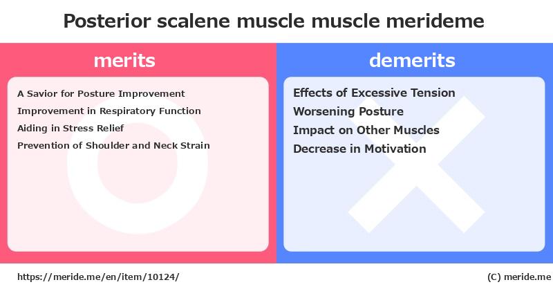 Posterior scalene muscle  merits and demerits?  [muscle]  merideme