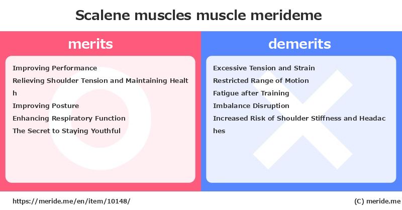 Scalene muscles  merits and demerits?  [muscle]  merideme