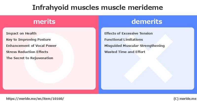 Infrahyoid muscles  merits and demerits?  [muscle]  merideme