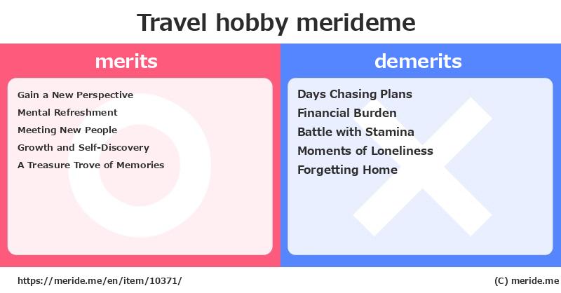 Travel  merits and demerits?  [hobby]  merideme