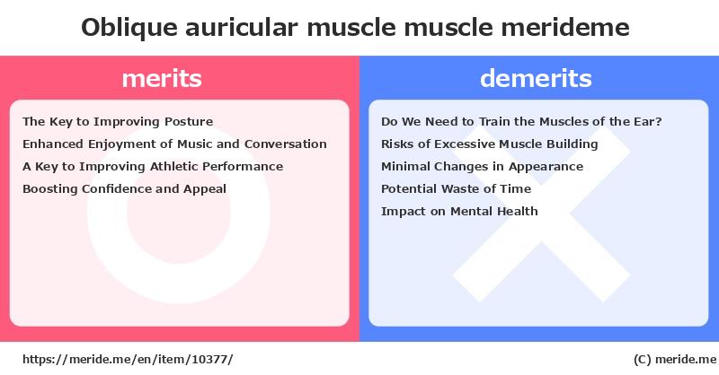 Oblique auricular muscle  merits and demerits?  [muscle]  merideme