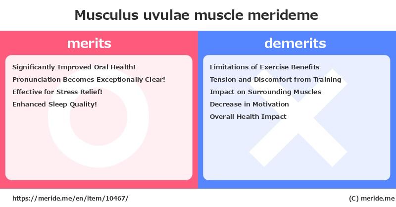 Musculus uvulae  merits and demerits?  [muscle]  merideme