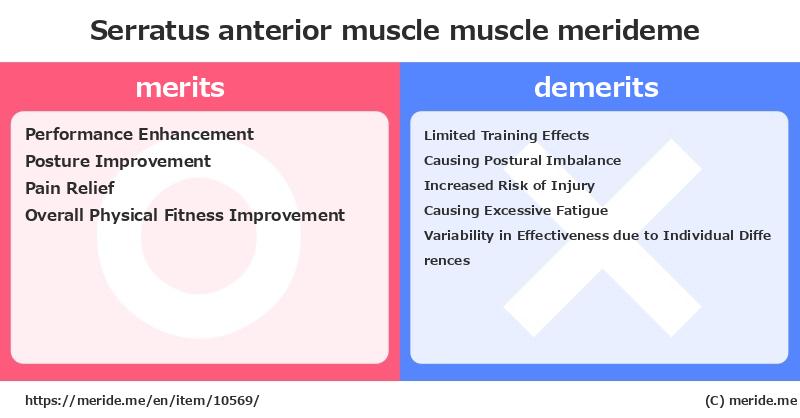 Serratus anterior muscle  merits and demerits?  [muscle]  merideme