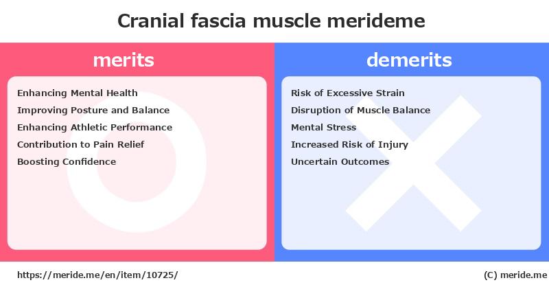 Cranial fascia  merits and demerits?  [muscle]  merideme