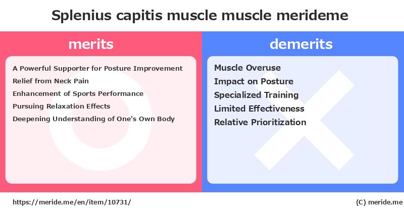 Splenius capitis muscle  merits and demerits?  [muscle]  merideme