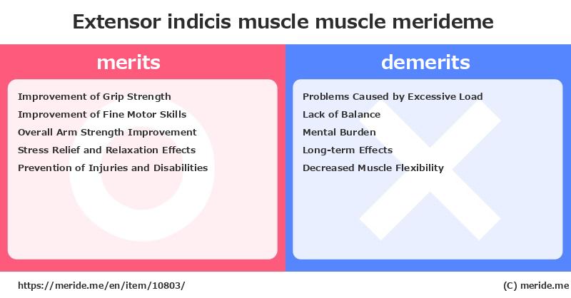 Extensor indicis muscle  merits and demerits?  [muscle]  merideme