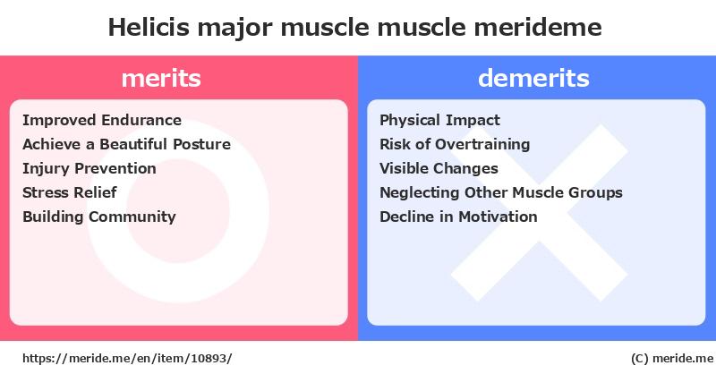 Helicis major muscle  merits and demerits?  [muscle]  merideme