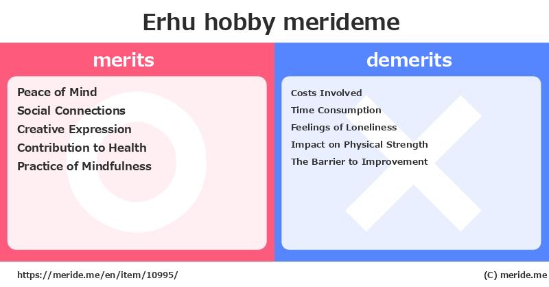 Erhu  merits and demerits?  [hobby]  merideme