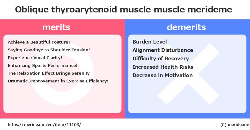 Oblique thyroarytenoid muscle  merits and demerits?  [muscle]  merideme