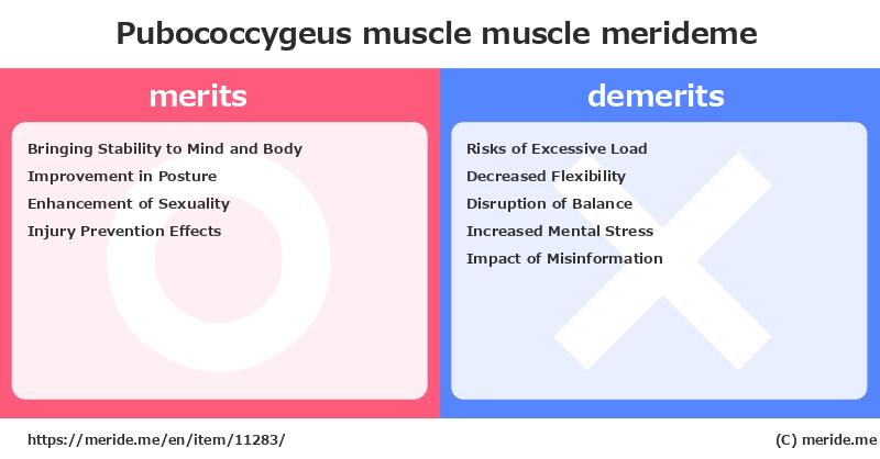 Pubococcygeus muscle  merits and demerits?  [muscle]  merideme