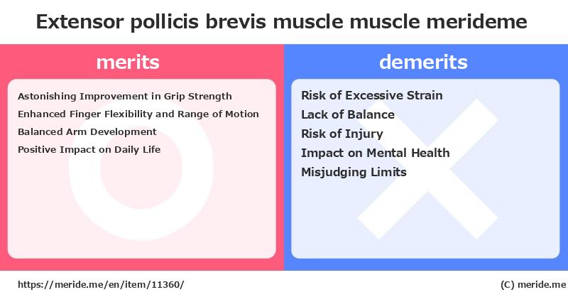 Extensor pollicis brevis muscle  merits and demerits?  [muscle]  merideme