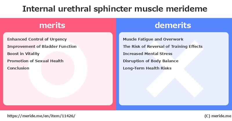 Internal urethral sphincter  merits and demerits?  [muscle]  merideme