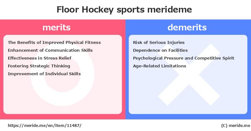 Floor Hockey  merits and demerits?  [sports]  merideme